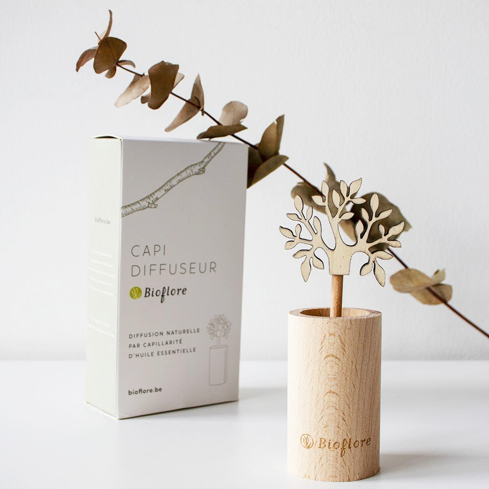 Bioflore - Diffuseur par capillarité