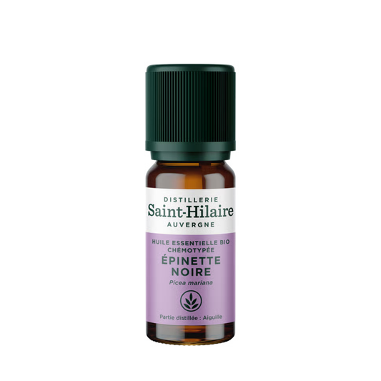 Distillerie Saint-Hilaire Auvergne • Huile Essentielle Epinette noire (HE 10ml)