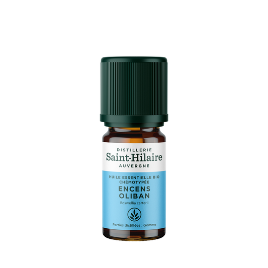 Distillerie Saint-Hilaire Auvergne • Huile Essentielle Encens Oliban (HE 10ml)