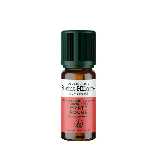 Distillerie Saint-Hilaire Auvergne • Huile Essentielle Myrte Rouge (HE 10ml)